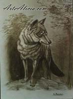 To extend photo of picture: El lobo